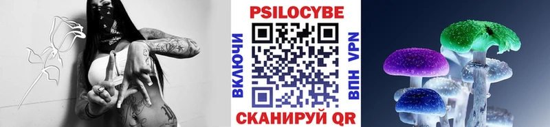 Псилоцибиновые грибы Magic Shrooms  Купить где  Новосиль 